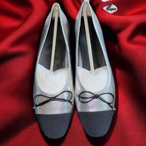 New In Box SCHUTZ ARISSA METALLIC LEATHER FLAT With Dust Bag Size 8.5